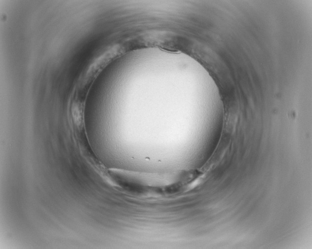 X0000087750335200705211043