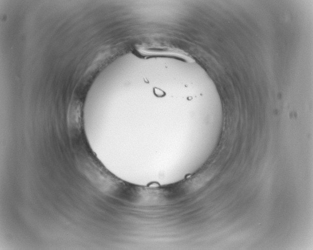 X0000087750336200705211043