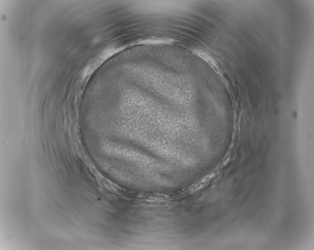 X0000087750337200705211042