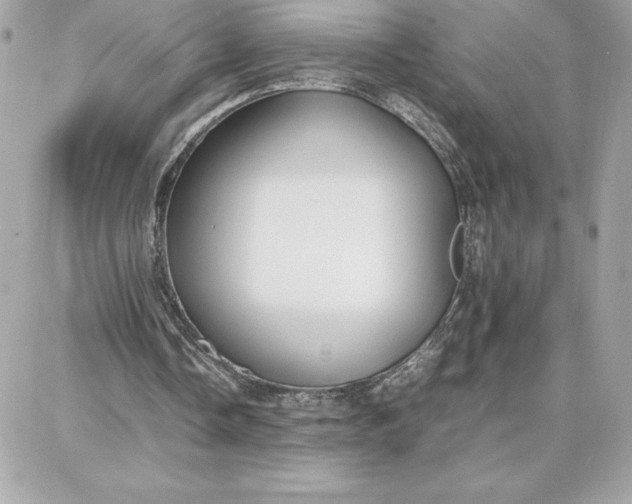 X0000087750338200705211043