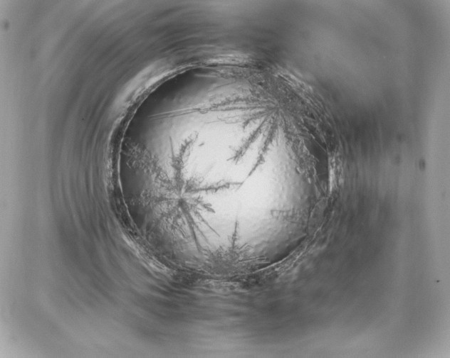 X0000087750339200705211043