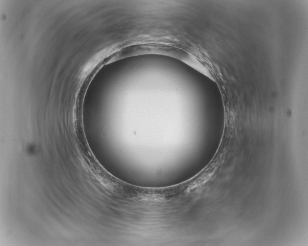 X0000087750340200705211043