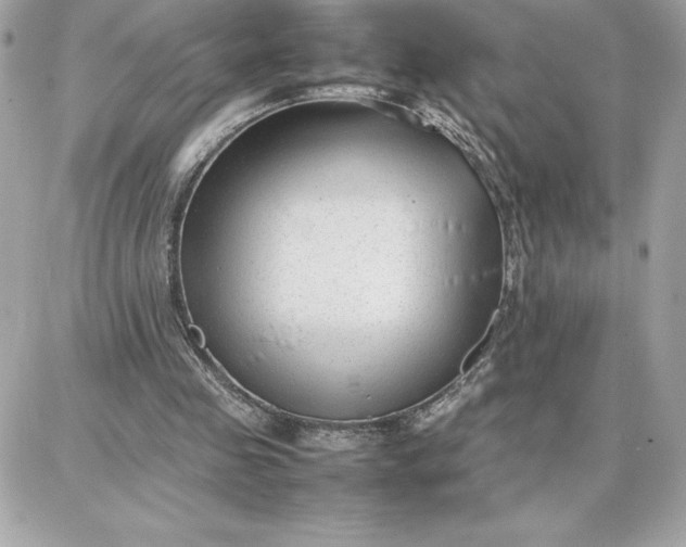 X0000087750341200705211043