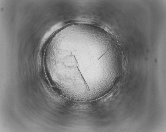 X0000087750343200705211043