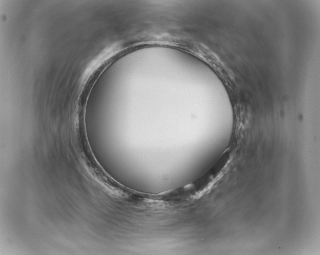 X0000087750344200705211043