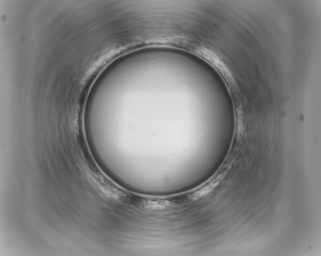 X0000087750346200705211043