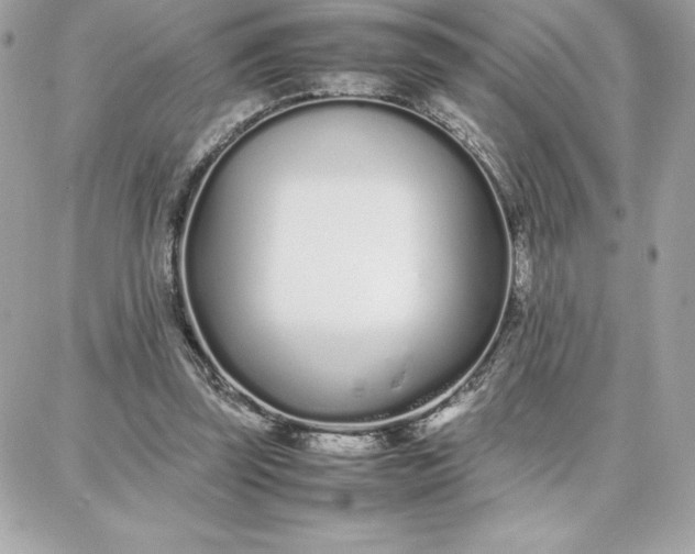 X0000087750347200705211043