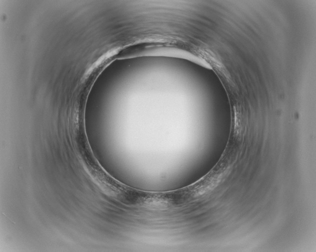 X0000087750348200705211043