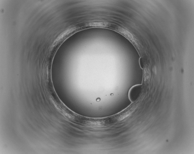 X0000087750349200705211043