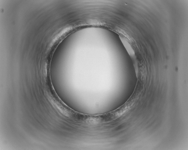 X0000087750350200705211043