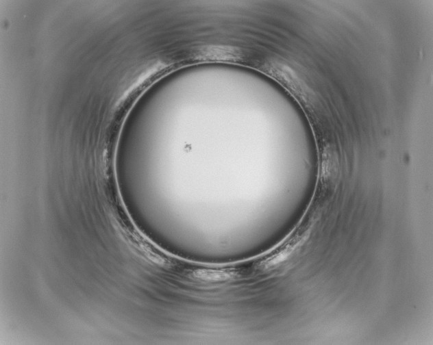 X0000087750351200705211043