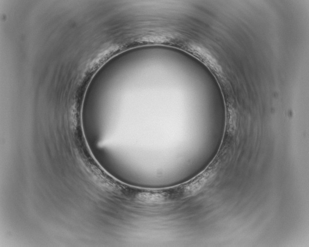 X0000087750354200705211043