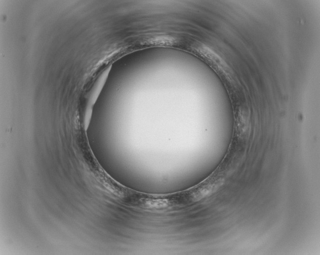 X0000087750355200705211043