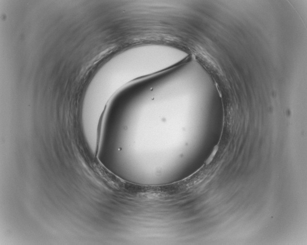 X0000087750356200705211043