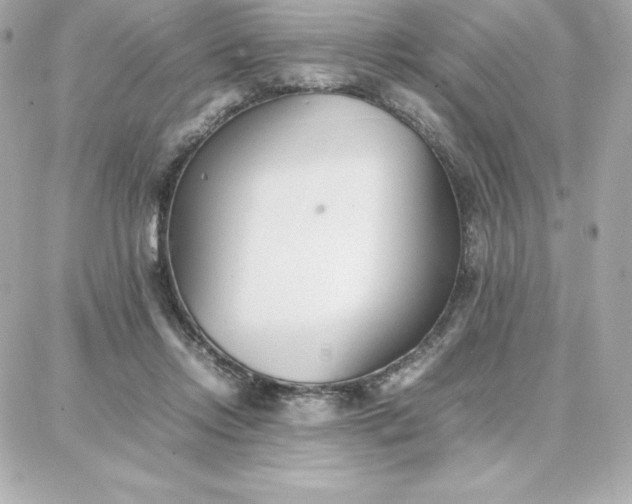 X0000087750358200705211043