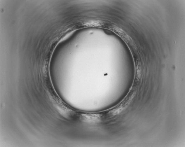 X0000087750359200705211043