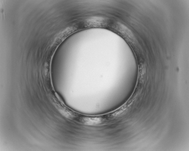 X0000087750361200705211043