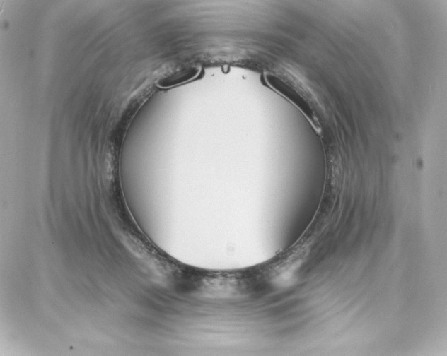 X0000087750362200705211043