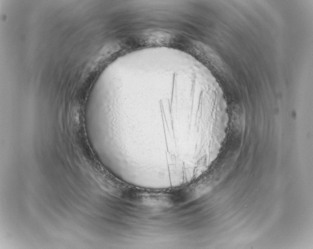 X0000087750363200705211043