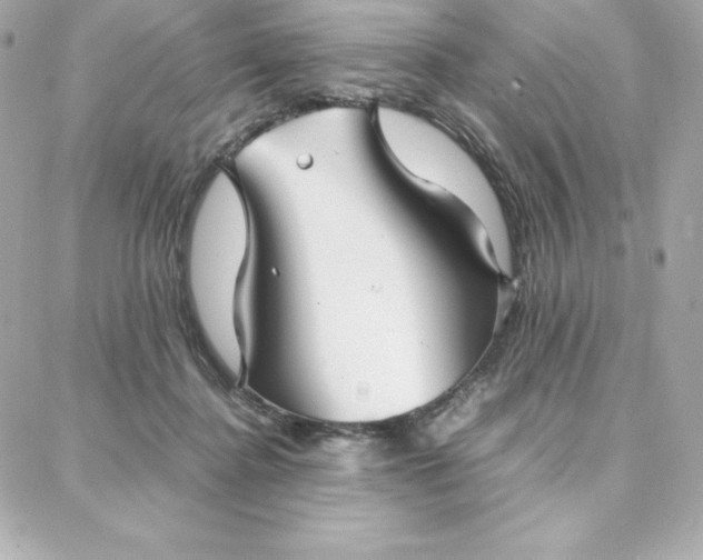 X0000087750364200705211043