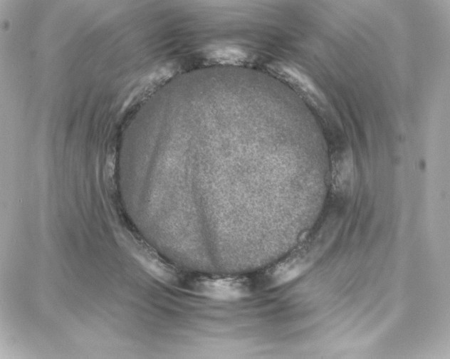 X0000087750365200705211043