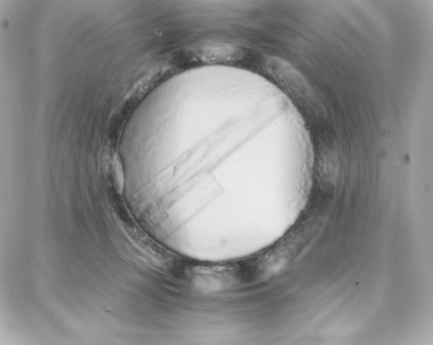 X0000087750367200705211043