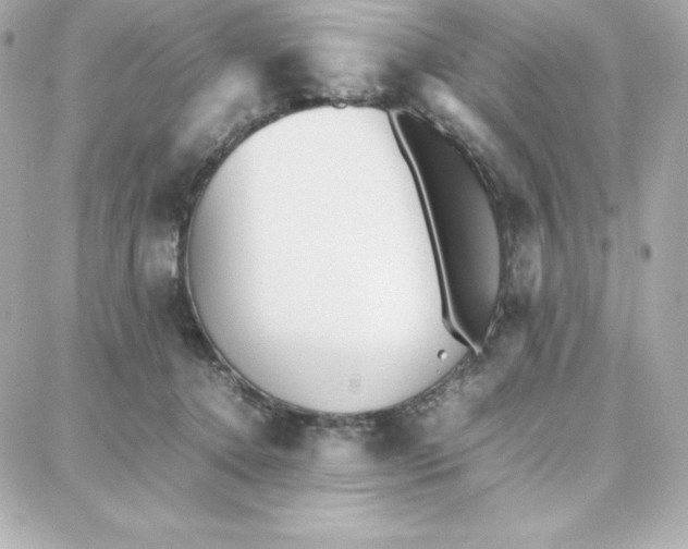 X0000087750368200705211043