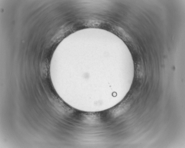 X0000087750370200705211043