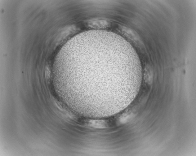 X0000087750371200705211043