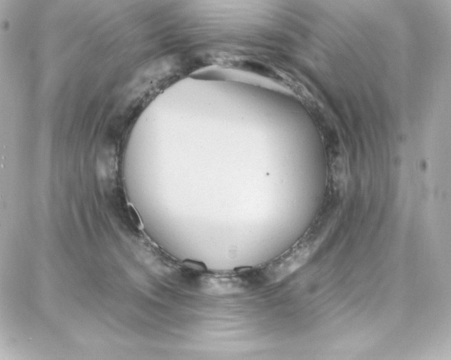 X0000087750372200705211043