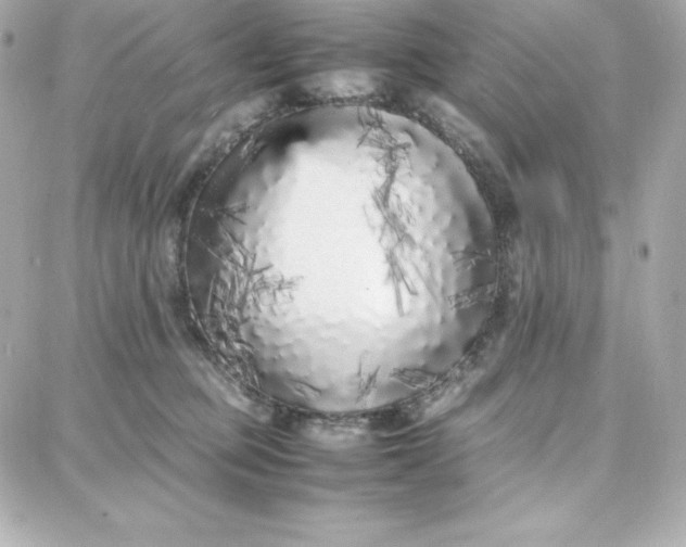 X0000087750373200705211043