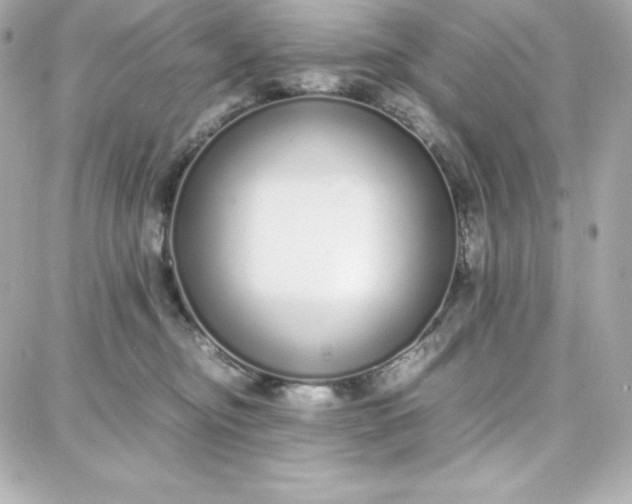 X0000087750374200705211043