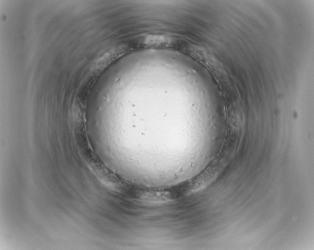 X0000087750375200705211043