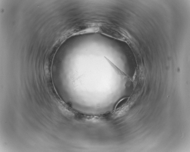 X0000087750377200705211043