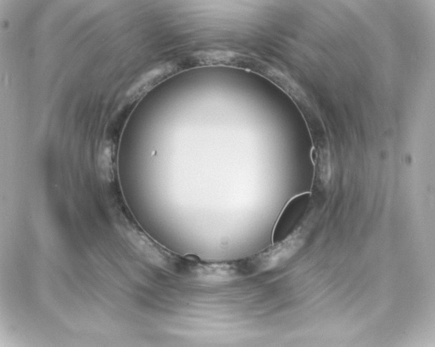 X0000087750378200705211043