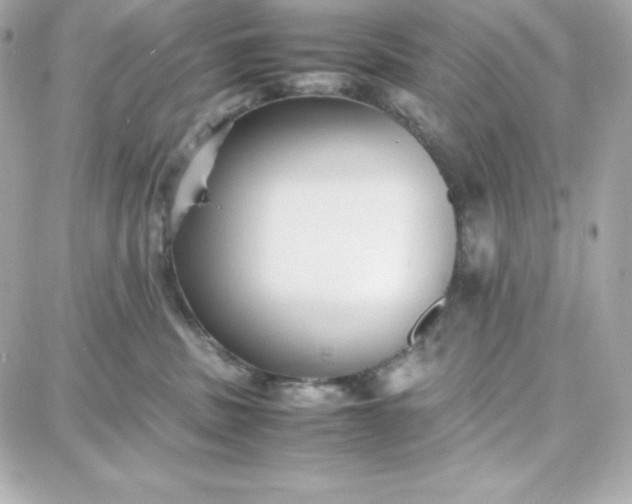 X0000087750379200705211043