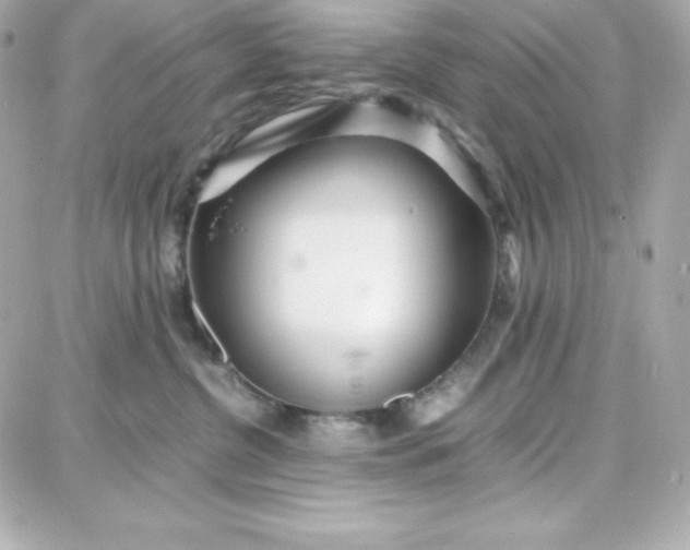 X0000087750380200705211043