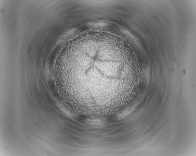 X0000087750381200705211043