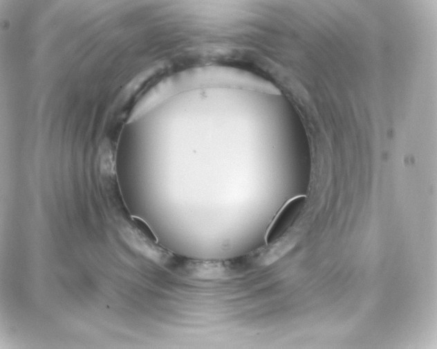 X0000087750384200705211043