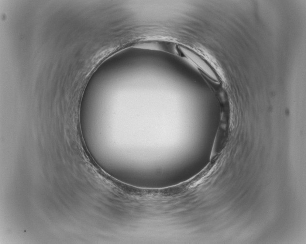 X0000087750385200705211042