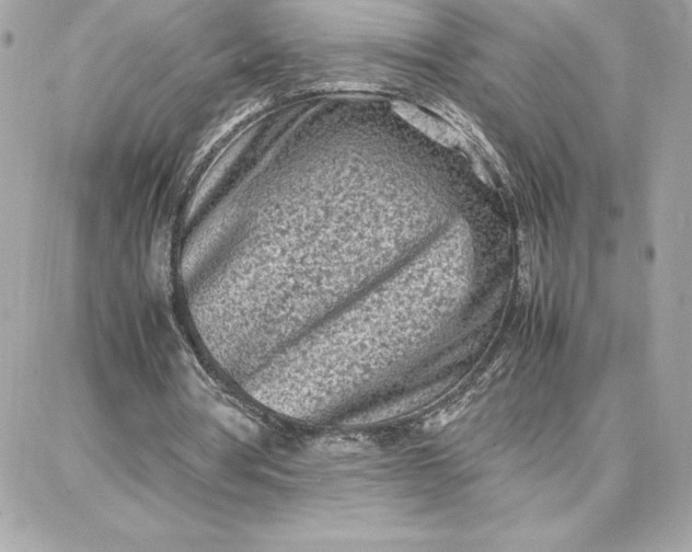 X0000087750386200705211042