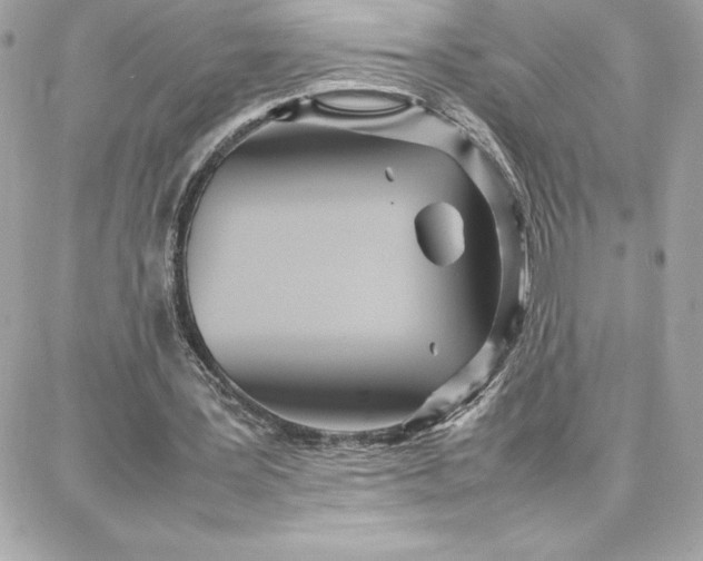 X0000087750387200705211042