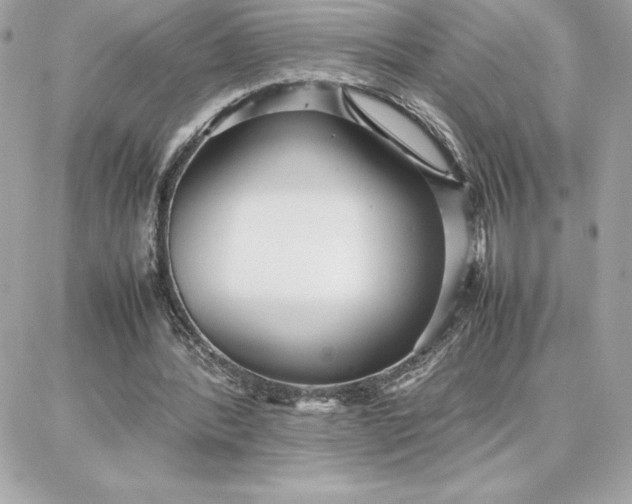 X0000087750388200705211042