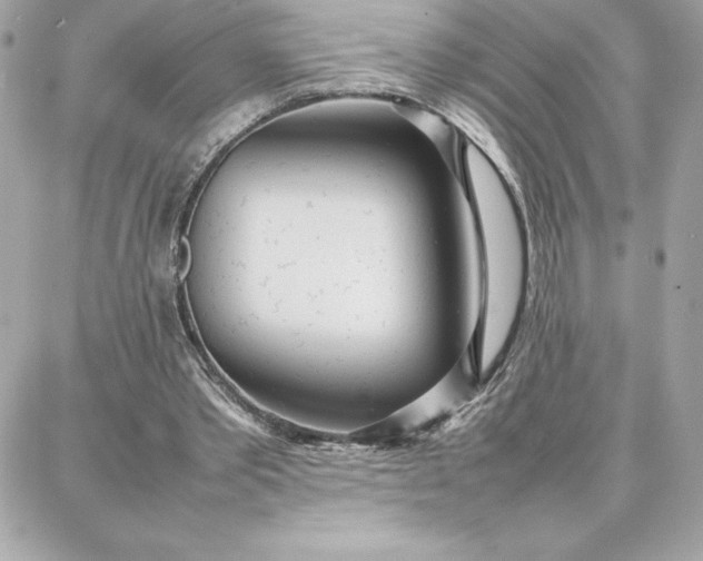 X0000087750389200705211042