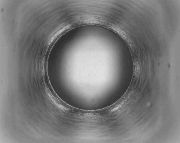 X0000087750390200705211042