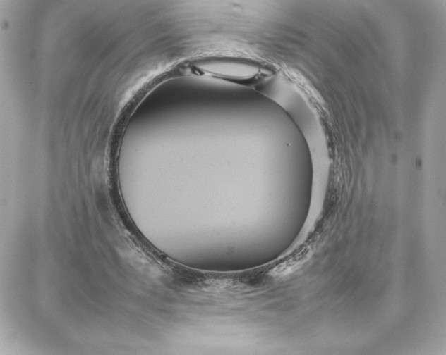 X0000087750391200705211042