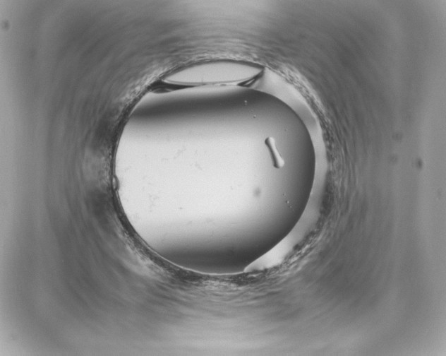 X0000087750393200705211042