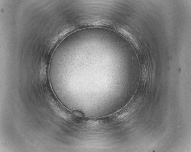 X0000087750394200705211042