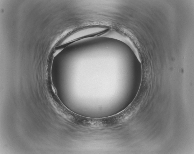 X0000087750395200705211042