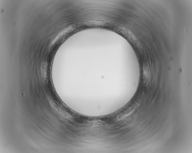 X0000087750396200705211042